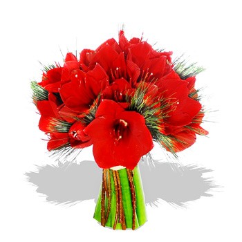 ���������. ���������, ������. �������� ������ FLOWERS-MOSCOW.RU