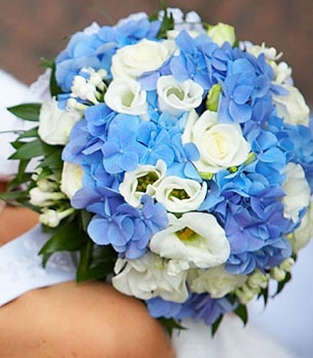 ����� ������� �54. ���������, ����, �������. �������� ������ FLOWERS-MOSCOW.RU