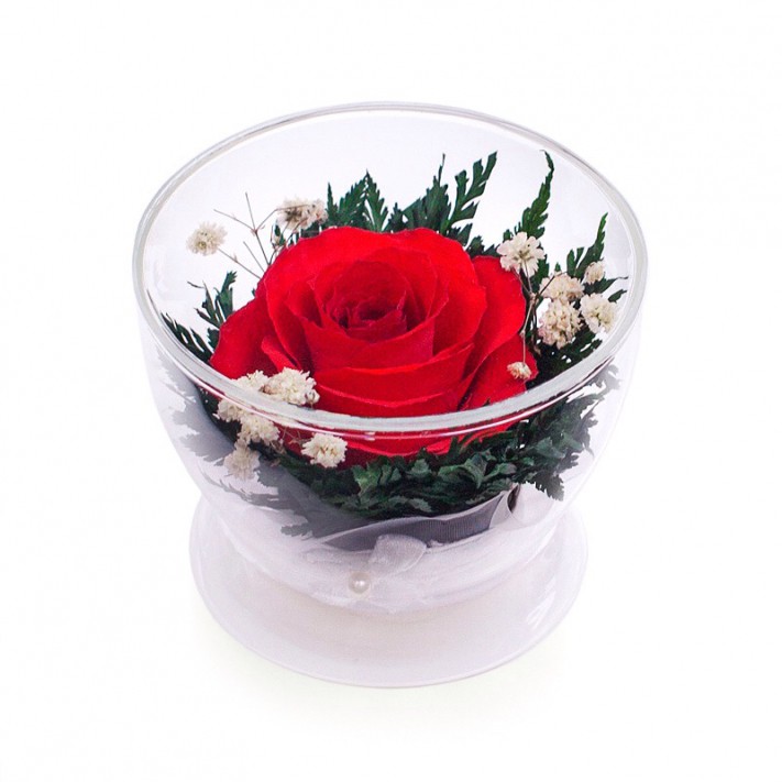 ���������� � ������� �� ����� ������. ����. �������� ������ FLOWERS-MOSCOW.RU