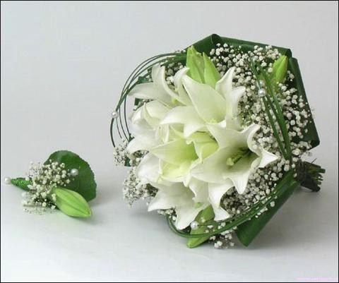 ����� ������� � 20. �����. �������� ������ FLOWERS-MOSCOW.RU