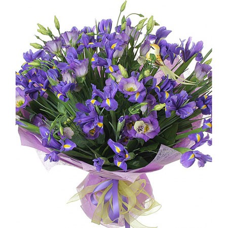 �������. �����, �������. �������� ������ FLOWERS-MOSCOW.RU